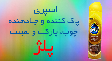 اسپری پولیش و محافظ چوب پلژ